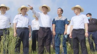 曹广晶督办中央环保督察问题整改时强调:立行立改、举一反三、标本兼治