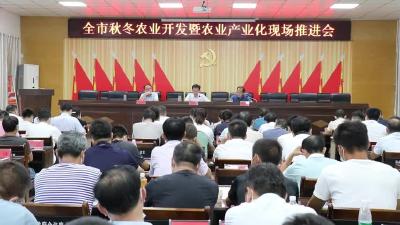 全市秋冬农业开发暨农业产业化现场推进会