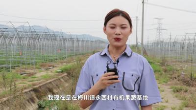 梅川：“村建企租”思变通 “筑巢引凤”共致富