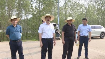 胡昊：抢抓机遇 齐心协力 强力推进船舶产业园建设