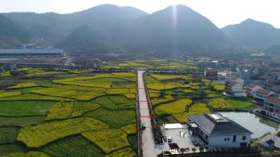 武穴大法寺镇：线上+线下 让富硒农特产品从“田间”到“舌尖”