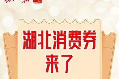 武穴市落实湖北消费券-黄冈券发放工作操作办法