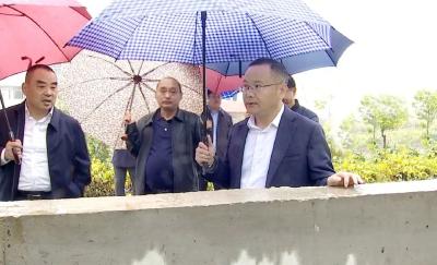 查俊深入龙坪镇万丈湖街道调研