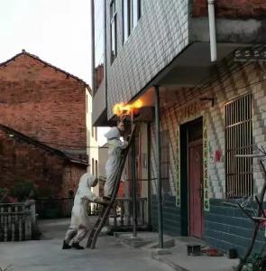 赞！雷霆出击摘除马蜂窝，网格员与消防员联手解民忧！