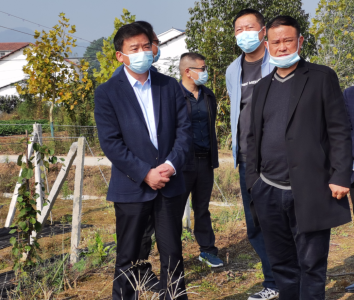 胡昊调研督导巩固拓展脱贫攻坚成果同乡村振兴有效衔接和村（社区）“两委”换届工作