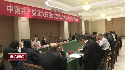 中国共产党武穴市第九次代表大会召开各代表团第三次会议