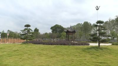 武穴大法寺：绿色底色擘画“产村融合”发展“春色”