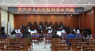 武穴法院公开开庭审理王某、杨某等11人涉嫌帮助信息网络犯罪活动罪一案
