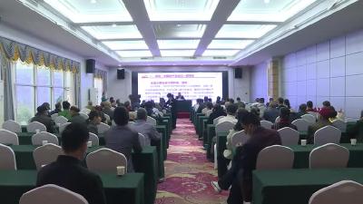 我市举行第38个国际盲人节活动