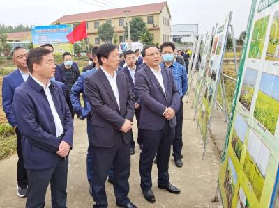 黄冈市秋冬农业综合开发暨农业农村重点工作现场推进会在我市召开