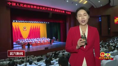 政协武穴市第九届委员会第一次会议开幕