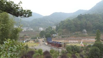 余川镇王冲村：村企共建 打造美丽乡村