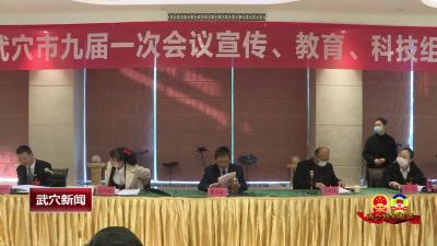 政协委员分组讨论两院工作报告