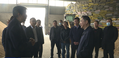 金鑫来我市调研农村农业产业化和综治维稳工作