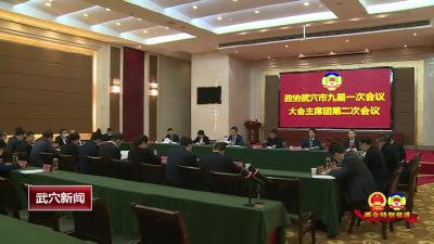 政协武穴市九届一次会议召开大会主席团第二次会议