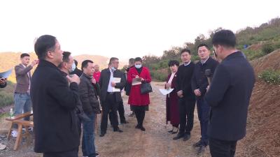 洪再林来我市开展茶叶产业链建设专题调研