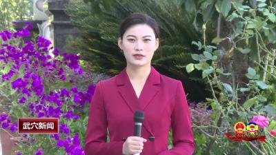 人大代表：锚定目标 务实重行
