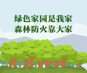 @武穴人：森林防火非儿戏，这些要点须牢记