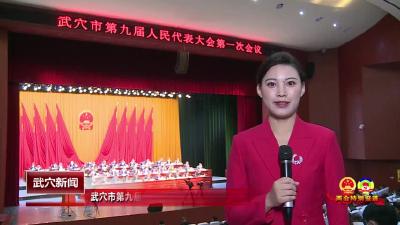 武穴市第九届人民代表大会第一次会议胜利闭幕