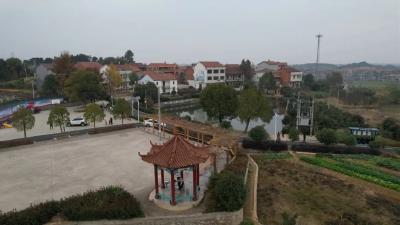 贯彻两会 共谋发展｜四望镇：建设“油茶小镇” 做实生态经济