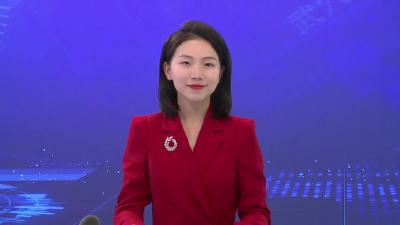 武汉东立集团董事长陈廉一行来我市考察