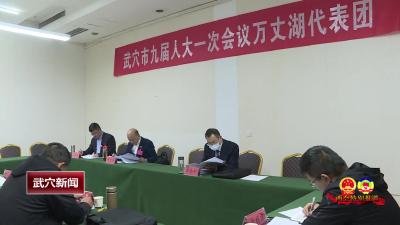 武穴市第九届人民代表大会第一次会议召开各代表团第六次会议