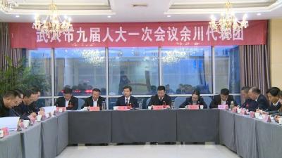 胡昊参加市九届人大一次会议梅川、田家镇、余川代表团分组讨论