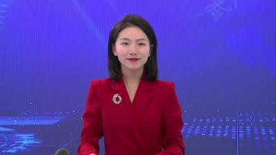 胡昊参加市九届人大一次会议武穴、四望、大金代表团审议讨论