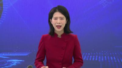 人大代表继续审议政府工作报告及相关报告