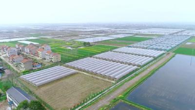 贯彻落实党代会精神｜万丈湖：农旅结合开新局 凝神聚力再出发