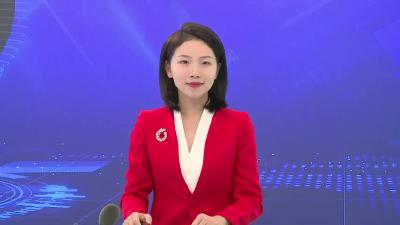 武穴市第九届人民代表大会第一次会议召开各代表团召集人会议