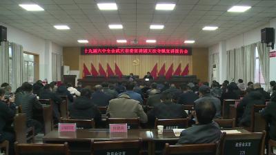 蔡军到大法寺镇宣讲党的十九届六中全会精神