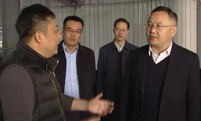 查俊调研生态合成革产业发展