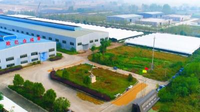 贯彻两会 共谋发展 | 龙坪镇：做实良好营商环境 续写发展新篇章