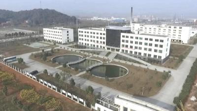 田镇街道：勇担发展使命 打造临港经济高质量发展示范带