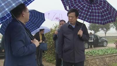 马艳舟来我市调研特色淡水产品产业链建设
