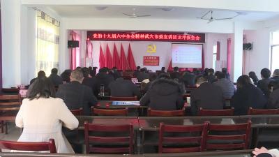 龙坪镇召开学习贯彻党的十九届六中全会精神宣讲报告会