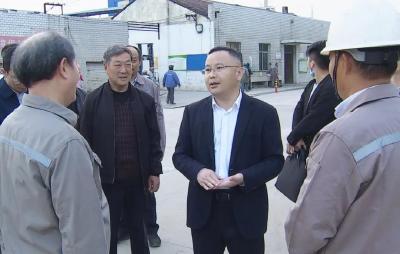 查俊到马口医药化工园调研