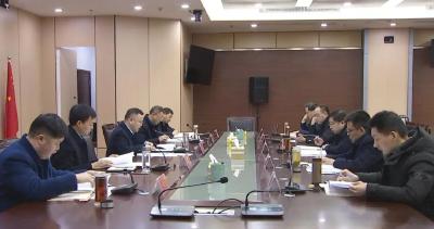 市政府党组召开2021年度党史学习教育暨涉粮问题专项巡察专题民主生活会