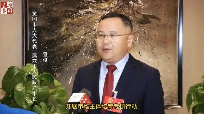 如何贯彻落实黄冈市政府工作报告，市长查俊这样说……