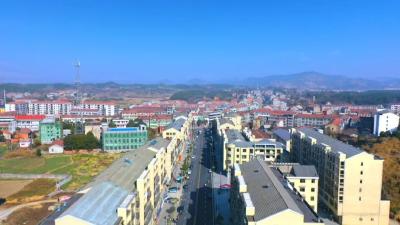 奋战一季度 勇夺开门红｜四望镇： 特色农业+飞地经济 双轮驱动打好开局战