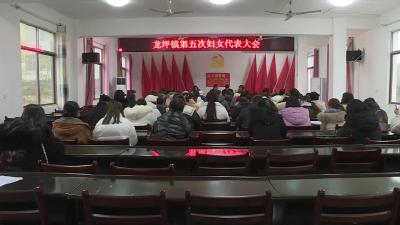 龙坪镇第五次妇女代表大会召开