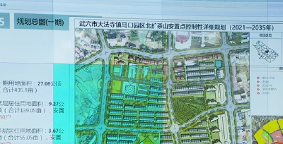 我市召开2022年度重点规划构思汇报会