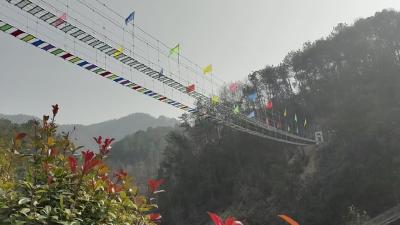 元旦期间  我市乡村旅游备受热捧