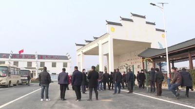 花桥镇：拉练检查提干劲 比学赶超掀热潮