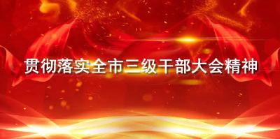 贯彻落实全市三级干部大会精神