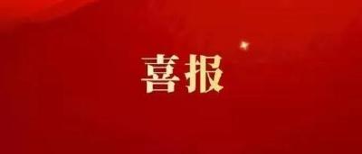 点赞！武穴这些单位和个人获省级荣誉！