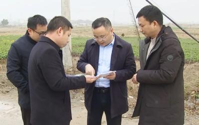 为花桥镇域经济社会发展把脉！查俊提出这些要求