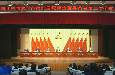市纪委九届二次全会强调：坚决运用新时代党的自我革命宝贵经验 奋力抒写武穴纪检监察工作高质量发展新篇章