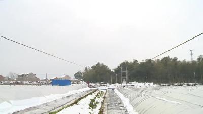 武穴供电“抗雪保电”再提“加速度”